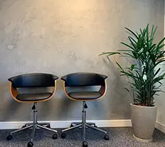 Duas cadeiras ao lado de uma vaso de planta.